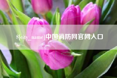 慈利中国消防网官网入口