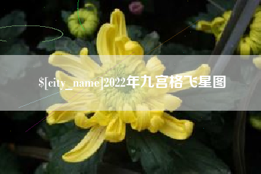 慈利2022年九宫格飞星图