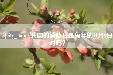 慈利我国的消防日是每年的11月9日对吗？