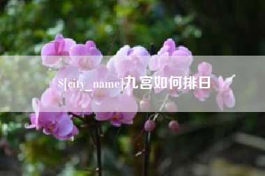 慈利九宫如何排日