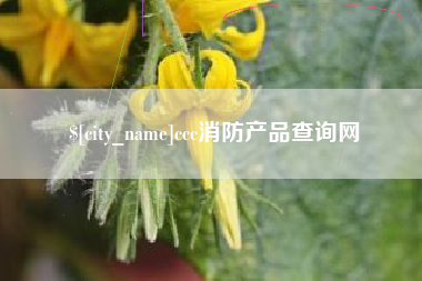 慈利ccc消防产品查询网