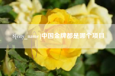 慈利中国金牌都是哪个项目