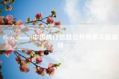 慈利中国执行信息公开网多久能消除
