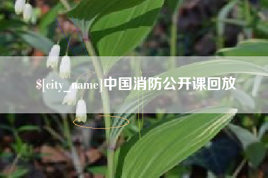 慈利中国消防公开课回放