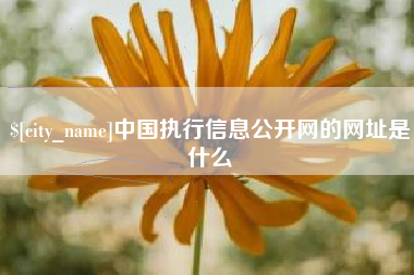 慈利中国执行信息公开网的网址是什么