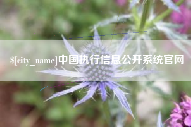 慈利中国执行信息公开系统官网