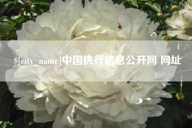 慈利中国执行信息公开网 网址