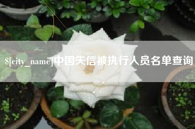 慈利中国失信被执行人员名单查询