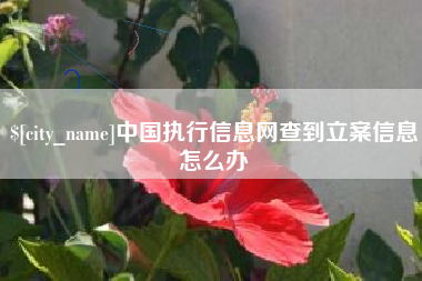 慈利中国执行信息网查到立案信息怎么办