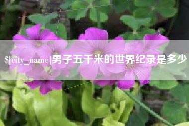 慈利男子五千米的世界纪录是多少