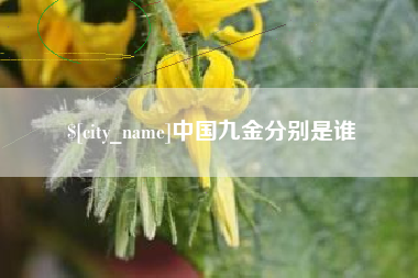慈利中国九金分别是谁