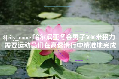 慈利哈尔滨亚冬会男子5000米接力-需要运动员们在高速滑行中精准地完成