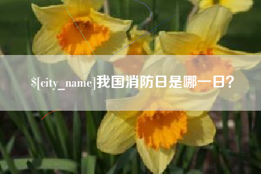 慈利我国消防日是哪一日？
