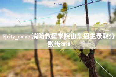 慈利消防救援学院山东招生录取分数线2020
