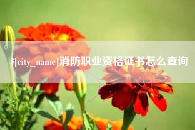 慈利消防职业资格证书怎么查询