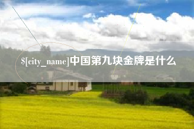 慈利中国第九块金牌是什么