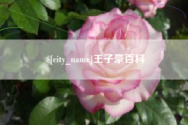 慈利王子豪百科