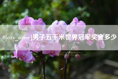 慈利男子五千米世界冠军奖金多少