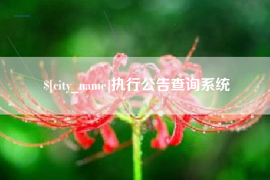 慈利执行公告查询系统