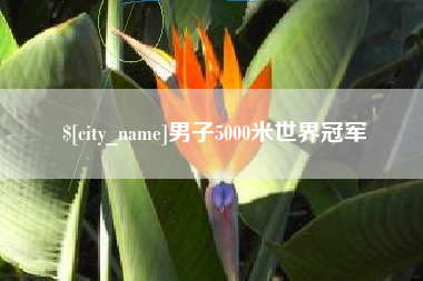 慈利男子5000米世界冠军