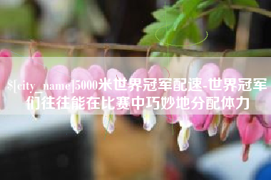 慈利5000米世界冠军配速-世界冠军们往往能在比赛中巧妙地分配体力