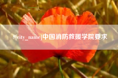 慈利中国消防救援学院要求