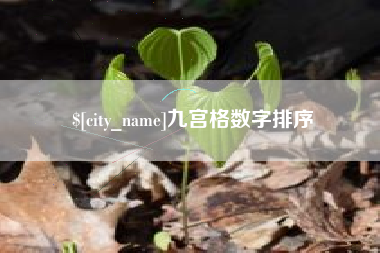 慈利九宫格数字排序
