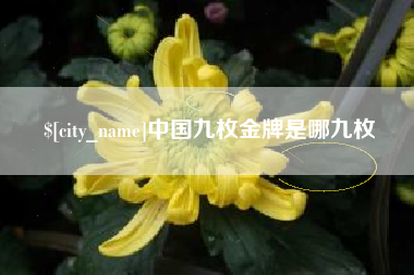 慈利中国九枚金牌是哪九枚
