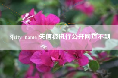慈利失信被执行公开网查不到
