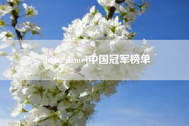 慈利中国冠军榜单