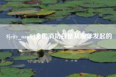 慈利全国消防日是从哪年发起的