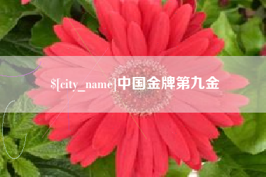 慈利中国金牌第九金