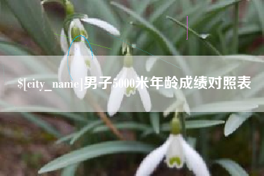 慈利男子5000米年龄成绩对照表