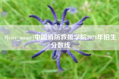 慈利中国消防救援学院2024年招生分数线