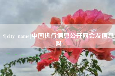 慈利中国执行信息公开网会发信息吗