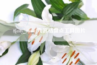 慈利九宫格盘点工具图片