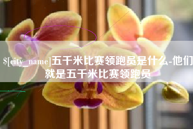 慈利五千米比赛领跑员是什么-他们就是五千米比赛领跑员