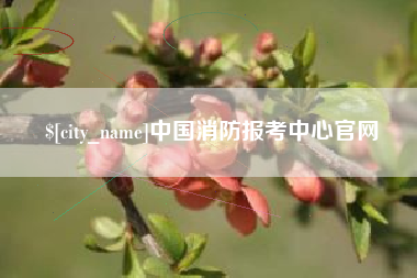 慈利中国消防报考中心官网