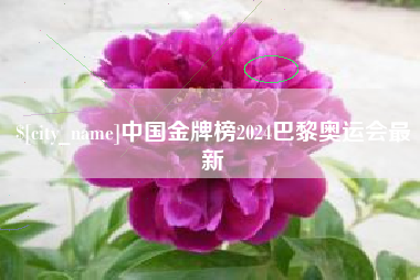 慈利中国金牌榜2024巴黎奥运会最新