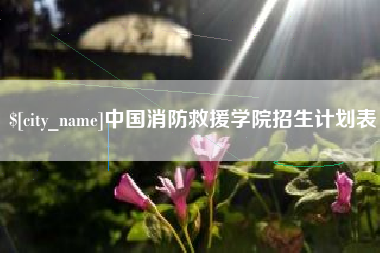慈利中国消防救援学院招生计划表