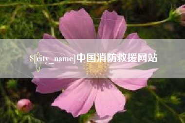 慈利中国消防救援网站