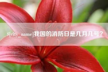慈利我国的消防日是几月几号？