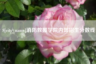 慈利消防救援学院内部招生分数线