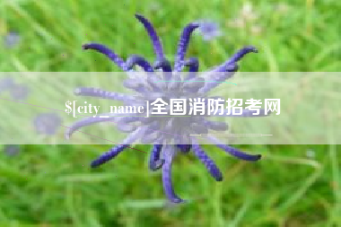 慈利全国消防招考网