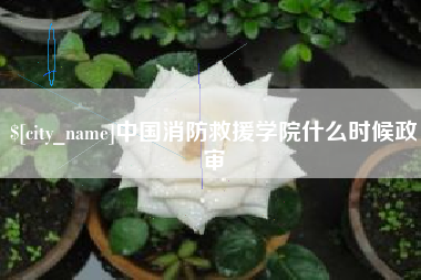 慈利中国消防救援学院什么时候政审