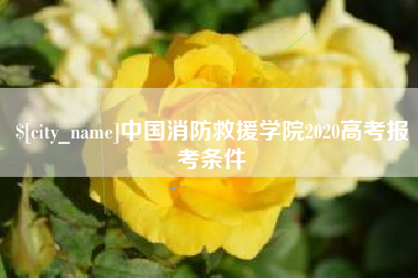 慈利中国消防救援学院2020高考报考条件