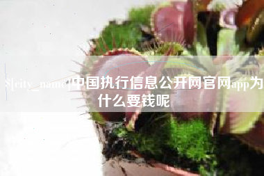 慈利中国执行信息公开网官网app为什么要钱呢