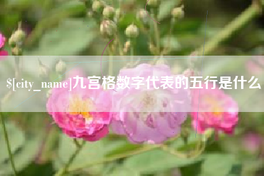 慈利九宫格数字代表的五行是什么