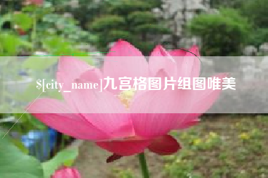慈利九宫格图片组图唯美