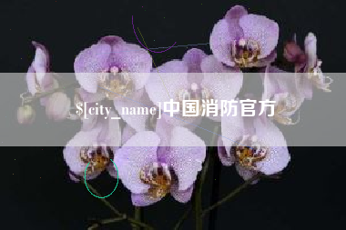 慈利中国消防官方